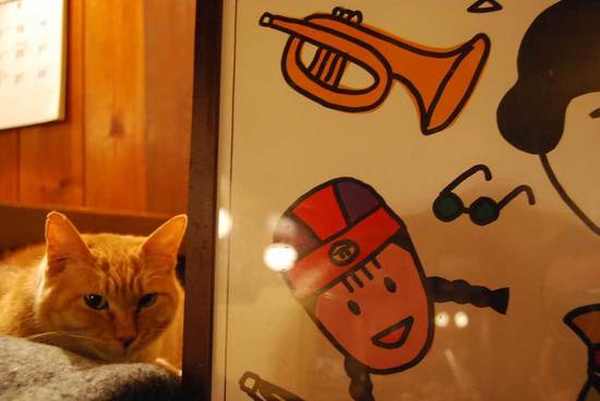 jazzcat.jpg
